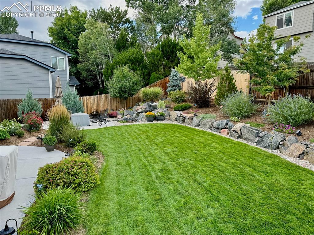 Image 41 of 43: Summer time lush green grass