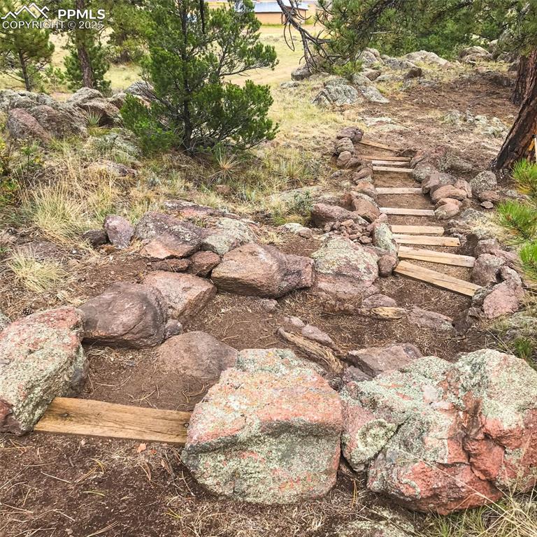 Image 10 of 24: Other