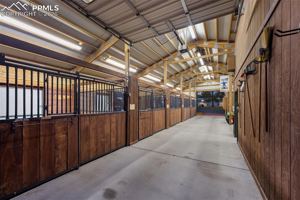 Image 37 of 50: Stable