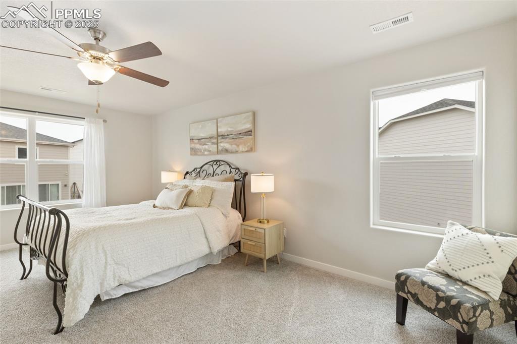 Image 16 of 26: Carpeted bedroom featuring ceiling fan and multiple windows, 