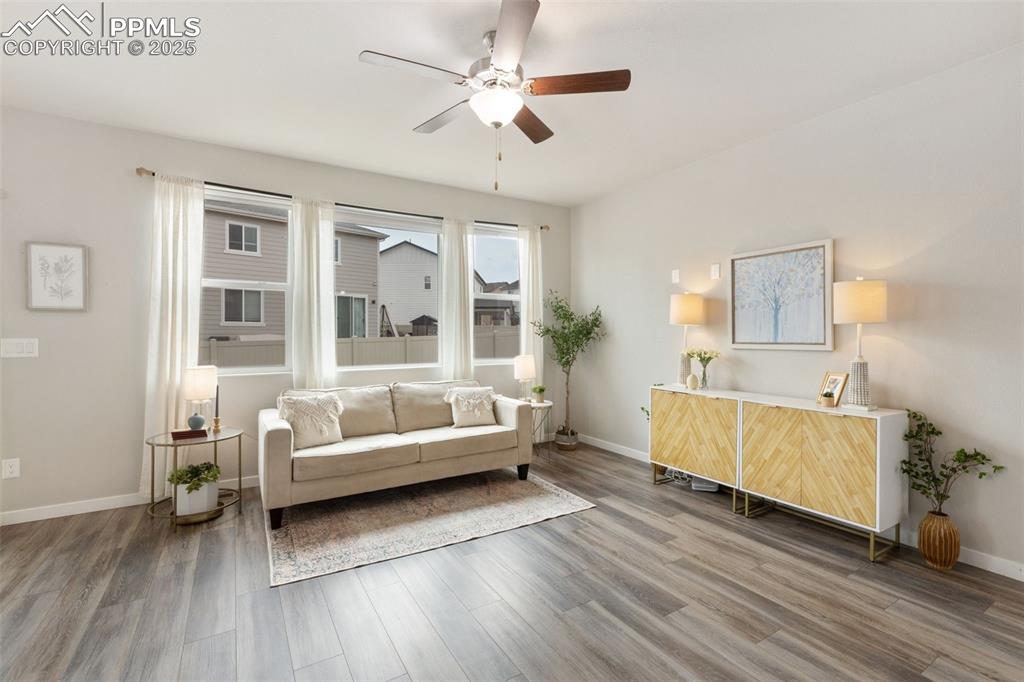 Image 5 of 26: Picture window and tons of natural light.