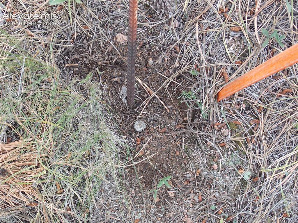 Image 2 of 6: One of the surveyors caps.