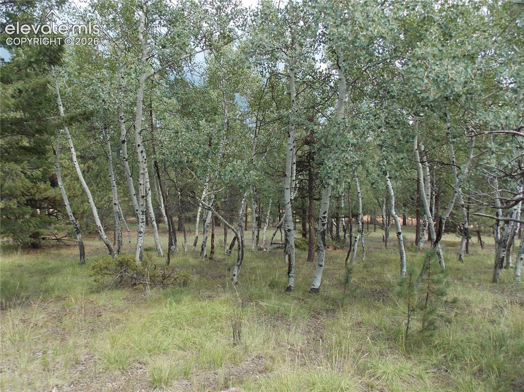 Image 4 of 6: Other