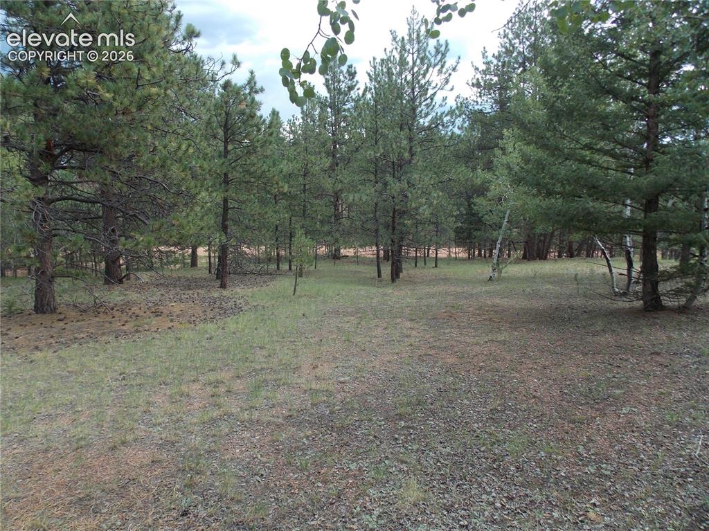 Image 5 of 6: Great location for a build.
