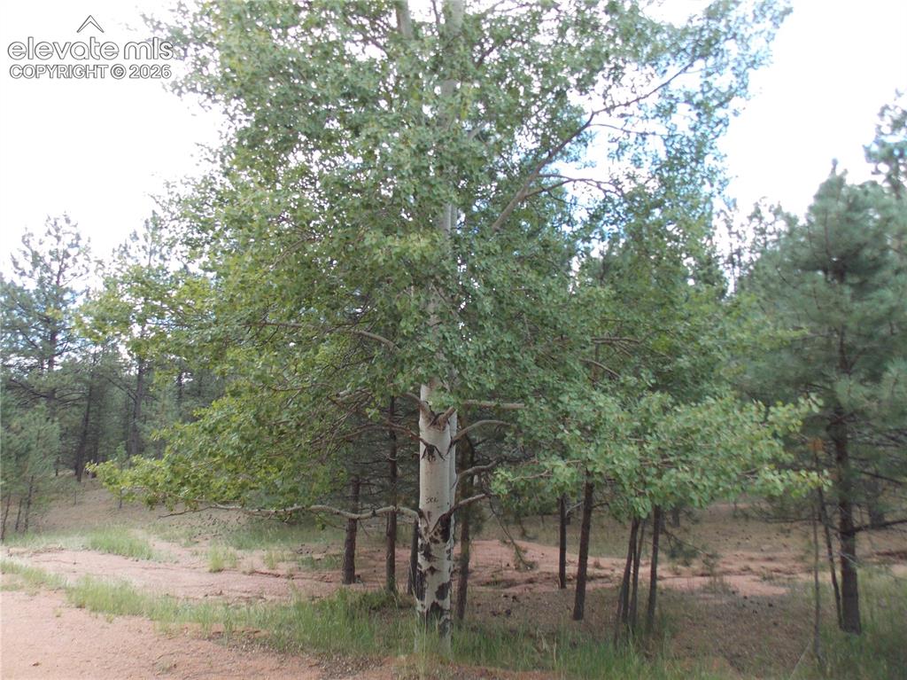 Image 6 of 6: Other