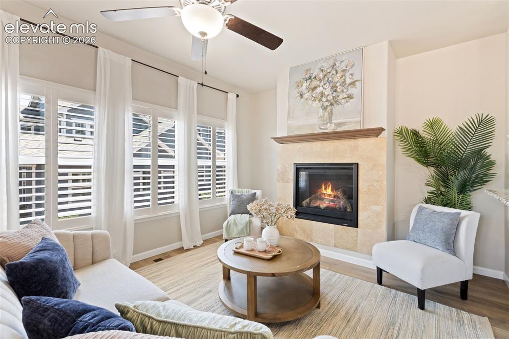 Image 3 of 48: Gas fireplace