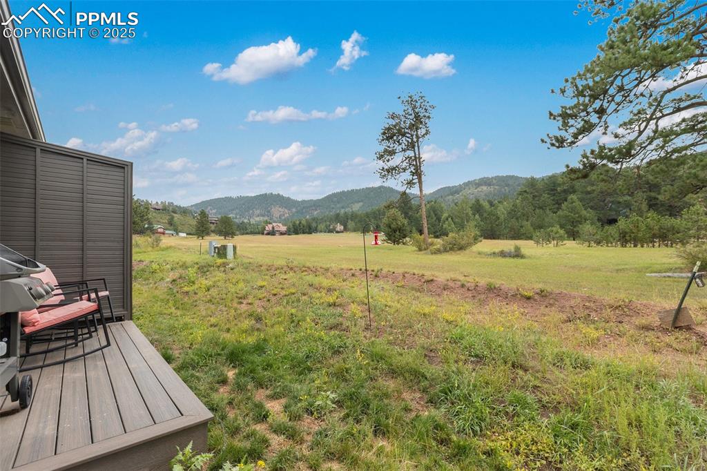 Image 38 of 38: Yard