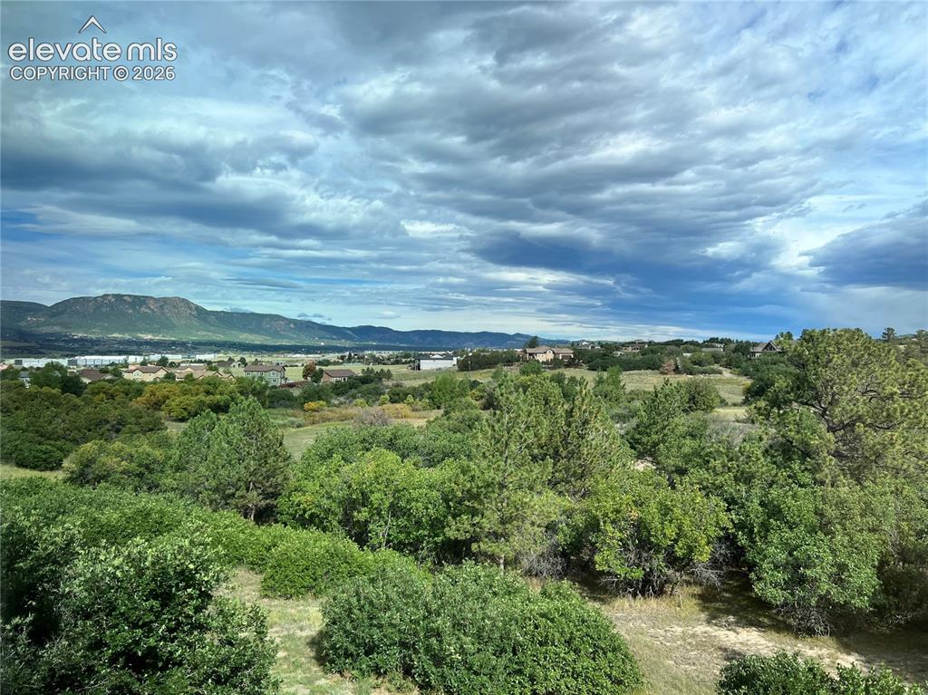 Image 41 of 47: View from Primary Bedroom