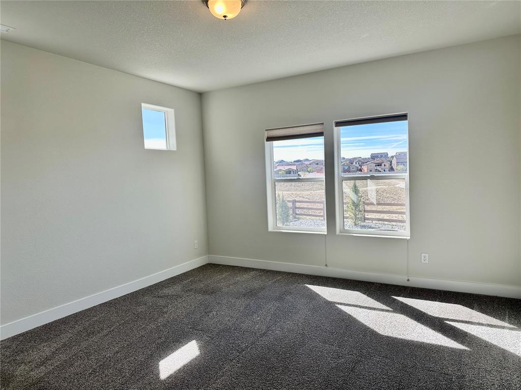 Image 17 of 23: Other