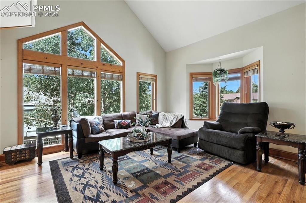 Image 5 of 36: Living room featuring wood finished floors and high vaulted ceiling