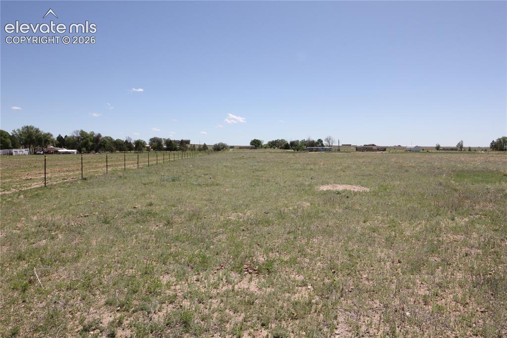 Image 3 of 9: Yard