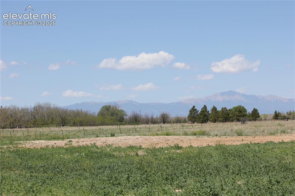 Image 5 of 9: View