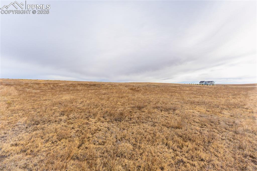 Image 13 of 14: Other