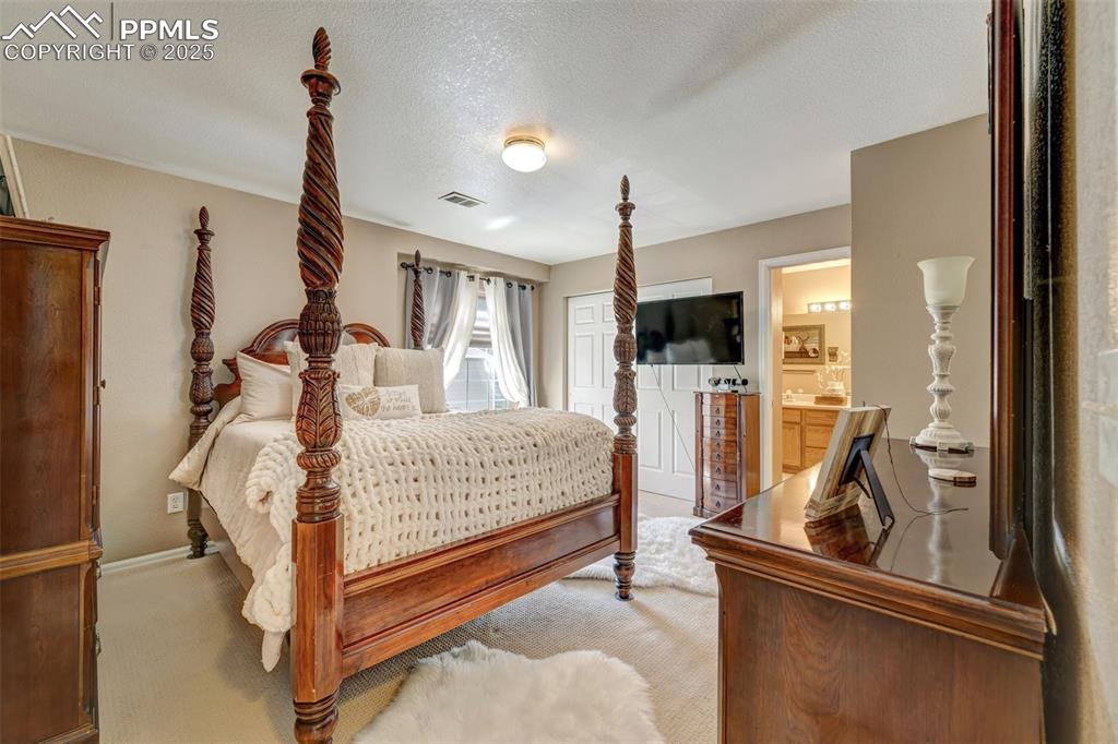 Image 12 of 23: Bedroom with a textured ceiling, light colored carpet, ensuite bath, and vi