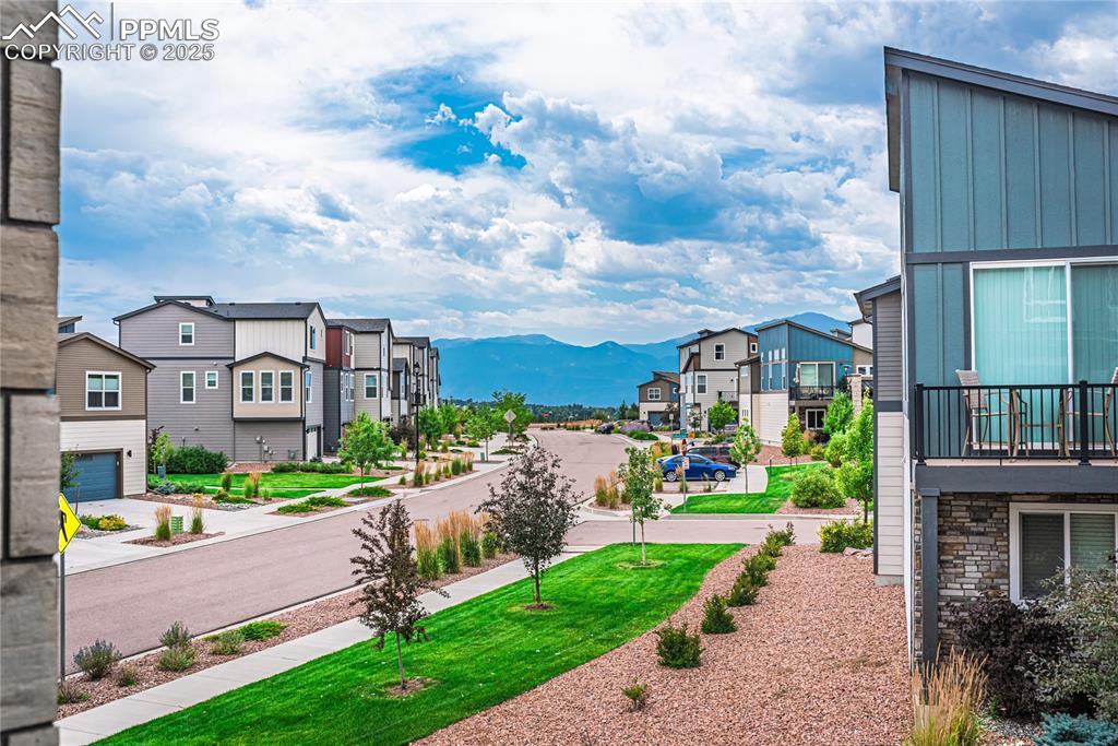 Image 12 of 37: Community