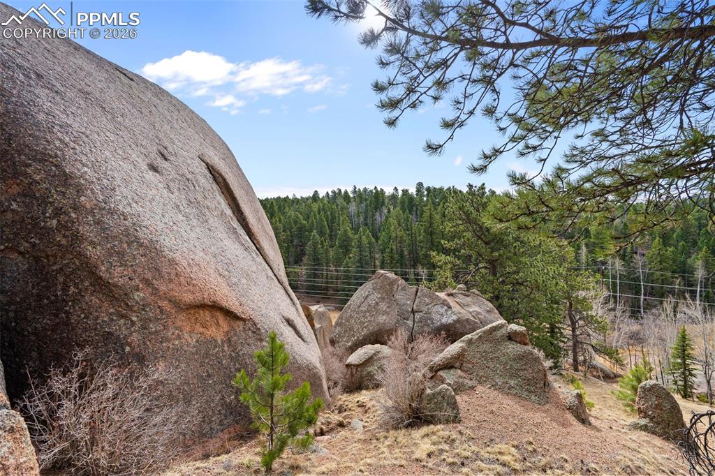 Image 14 of 19: Other