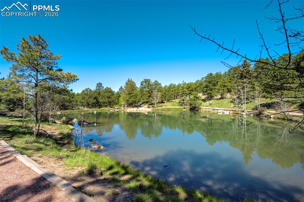 Image 48 of 50: Other