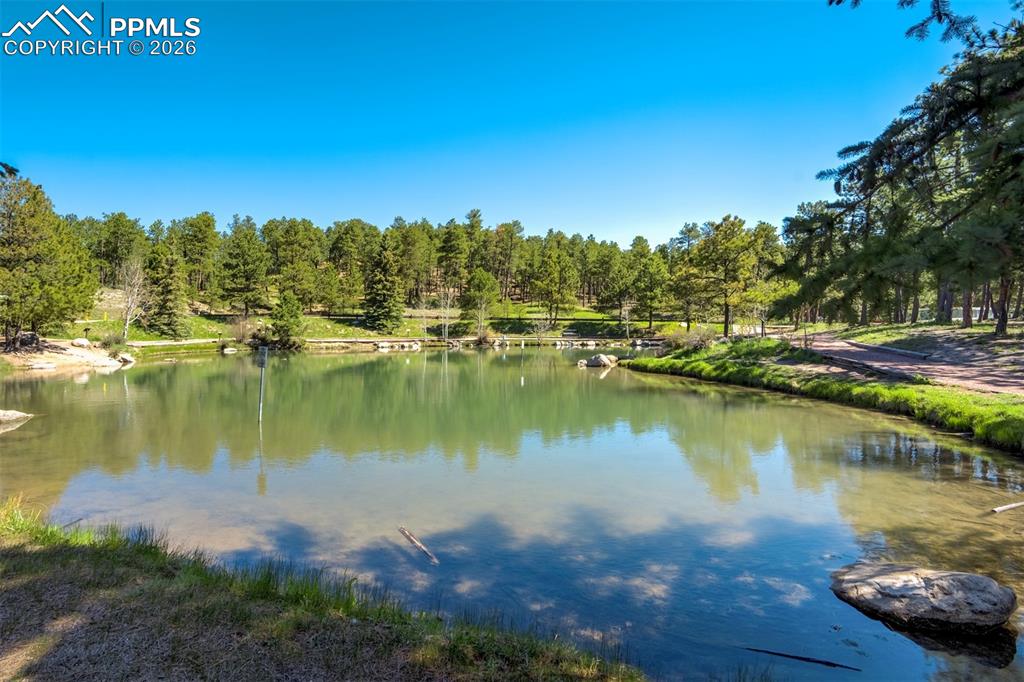 Image 49 of 50: Other