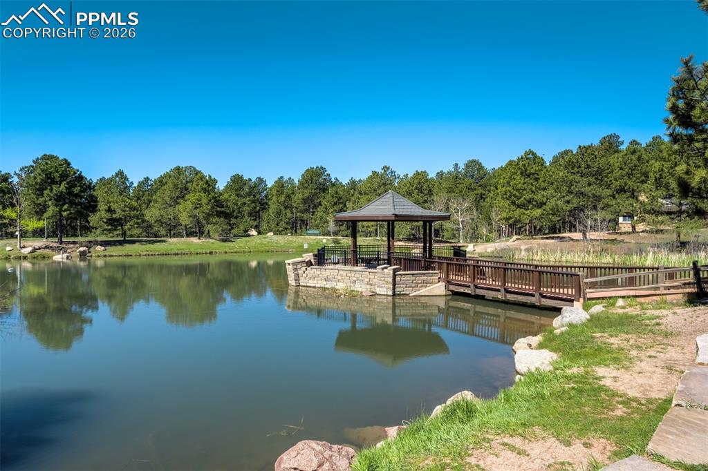 Image 50 of 50: Other