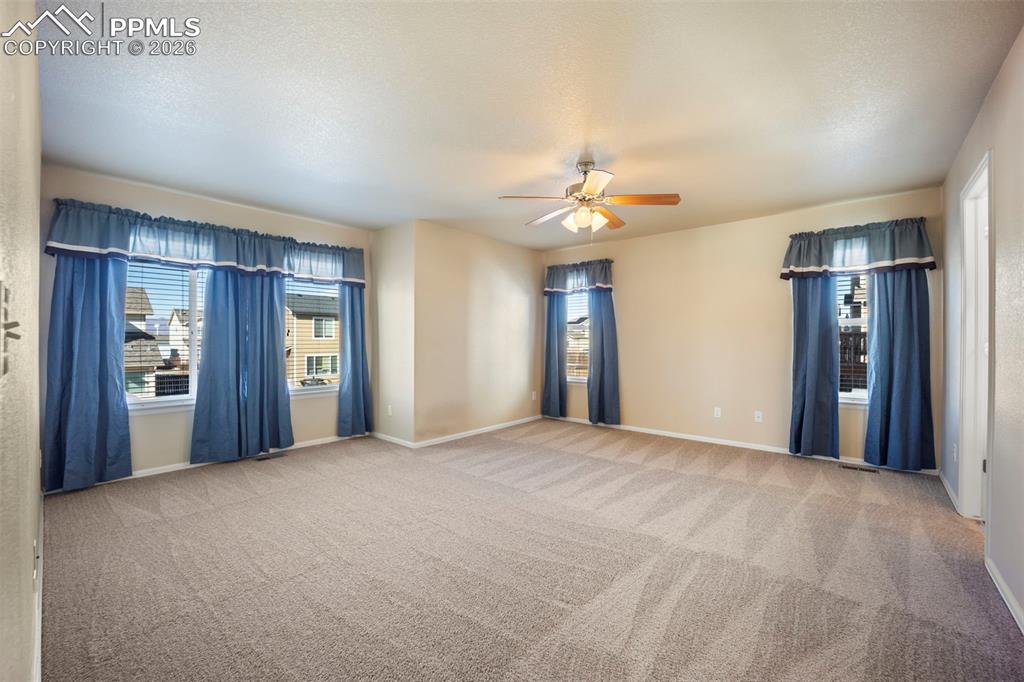 Image 13 of 46: Other