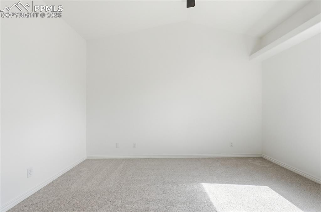 Image 20 of 50: Other