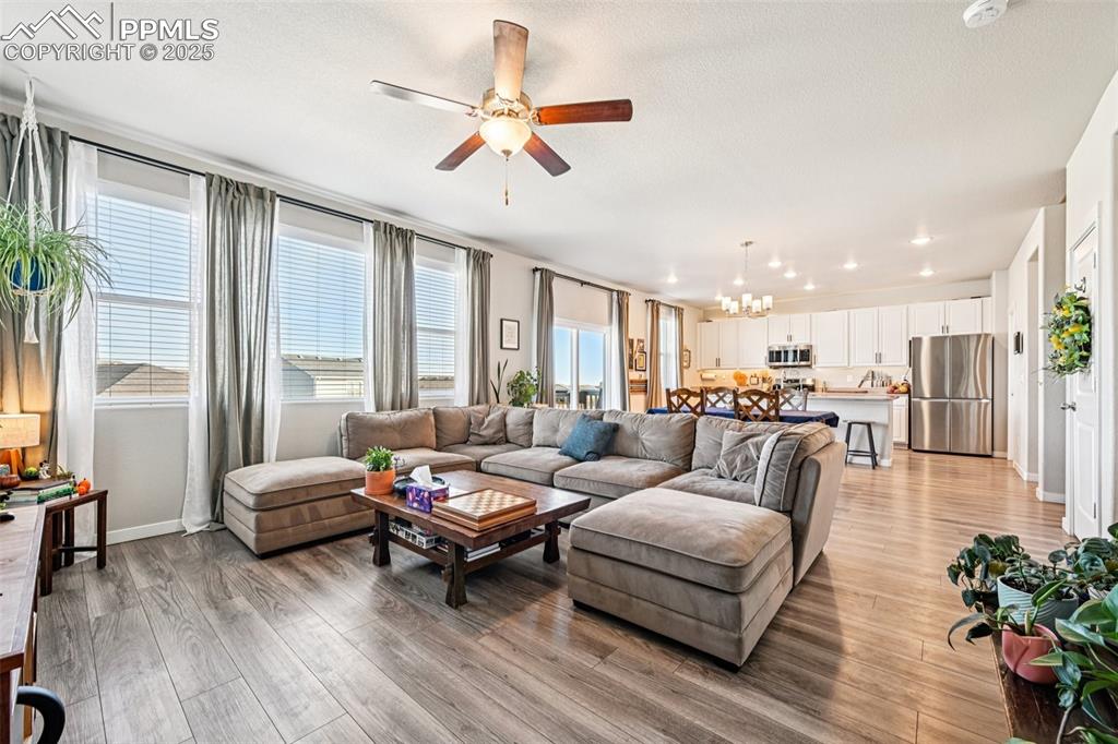 Image 9 of 50: Open concept living room, dining room and kitchen