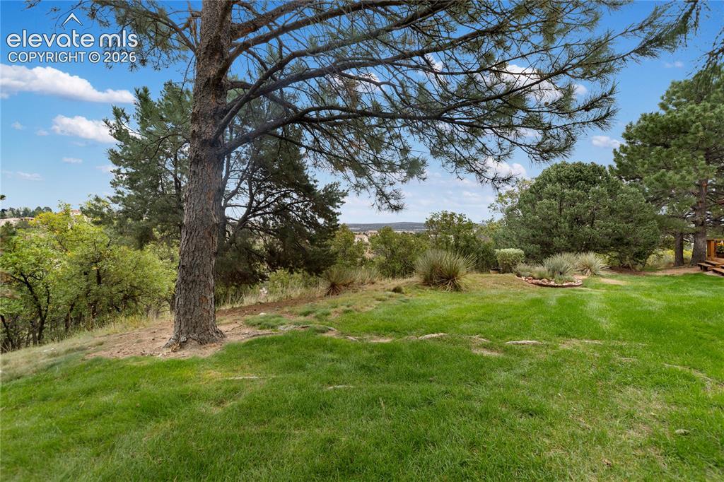 Image 3 of 34: Trees and grassy area out back