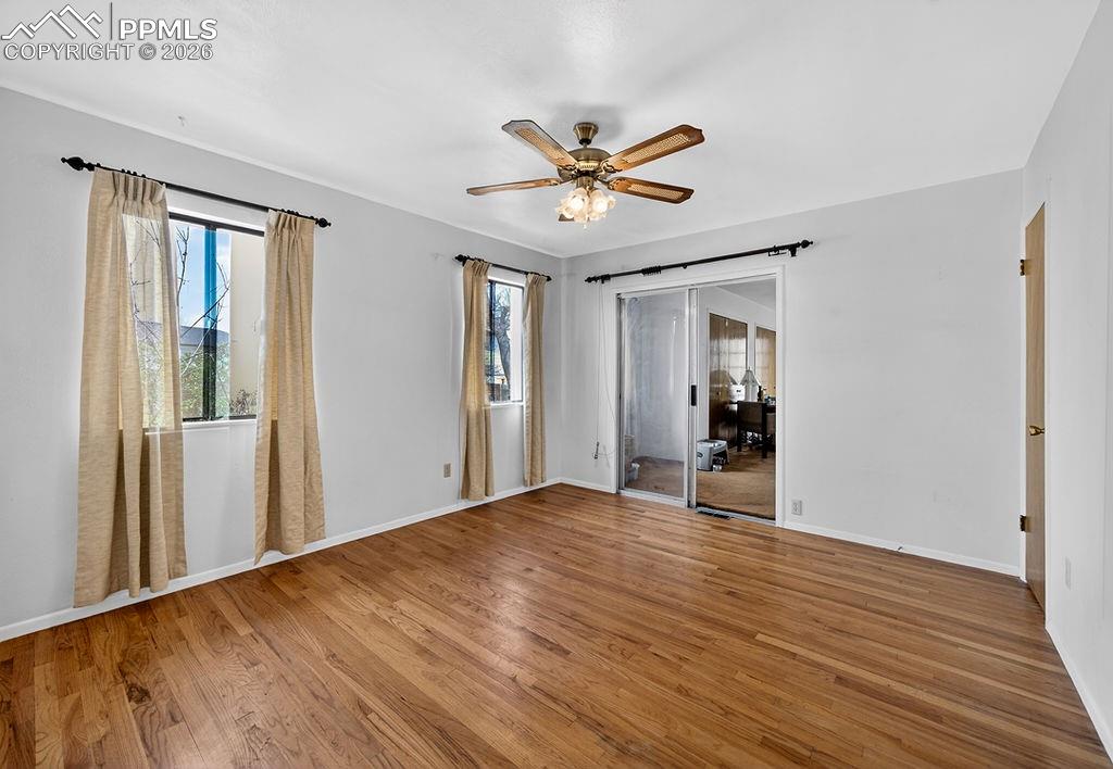 Image 24 of 29: Other