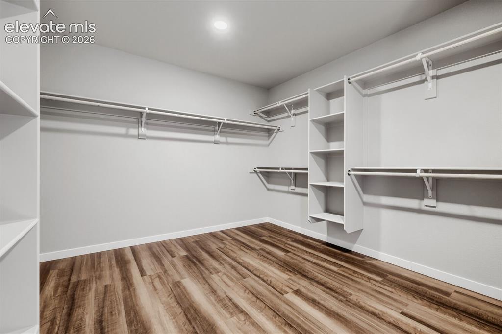 Image 18 of 31: Primary bedroom walk in closet