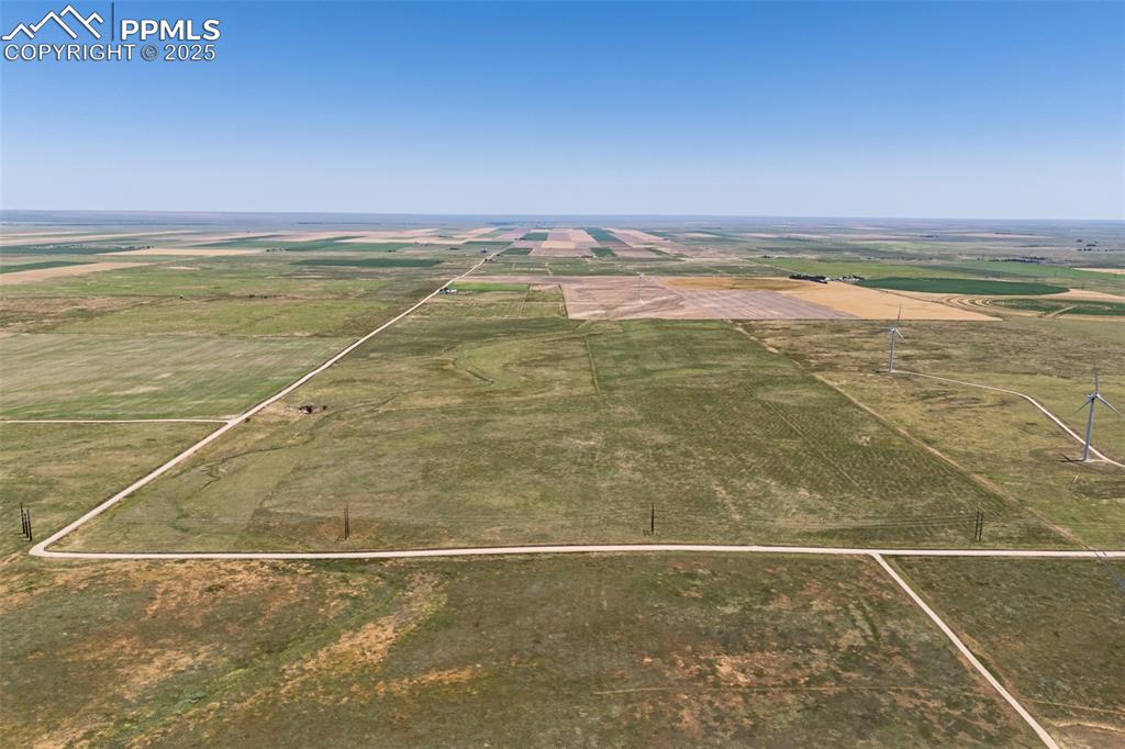 Image 12 of 20: Summer green