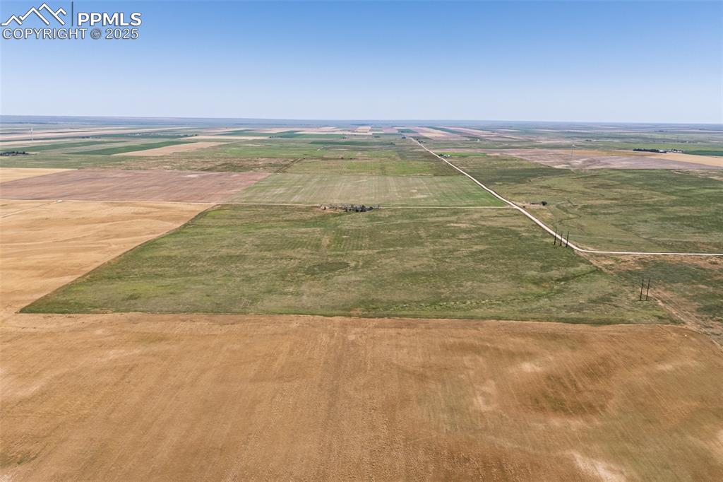 Image 14 of 20: Summer green