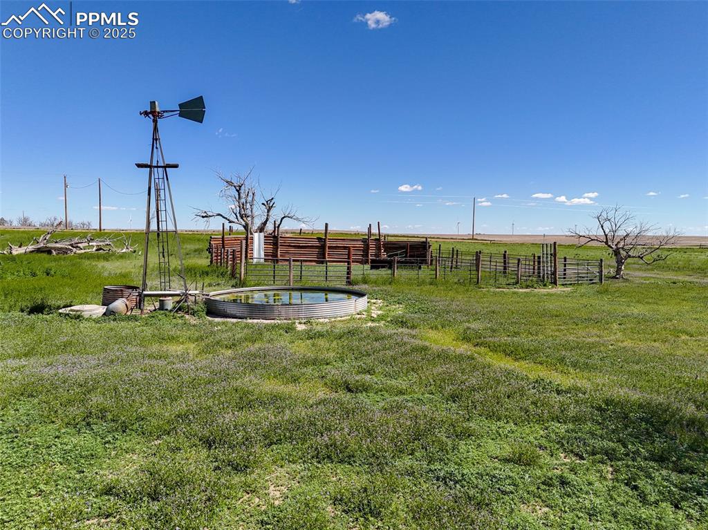 Image 3 of 20: Stock tank