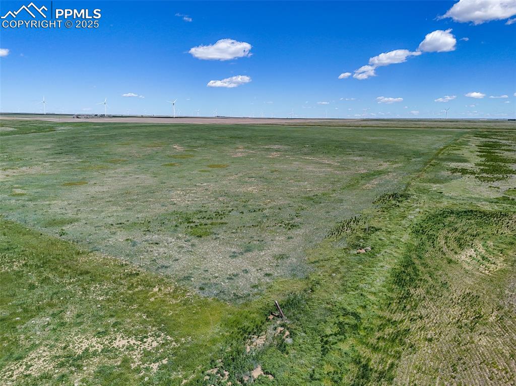 Image 7 of 20: Southeast corner of the 340 AC parcel, looking north.