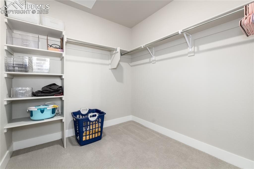 Image 18 of 21: Walk in closet with carpet floors