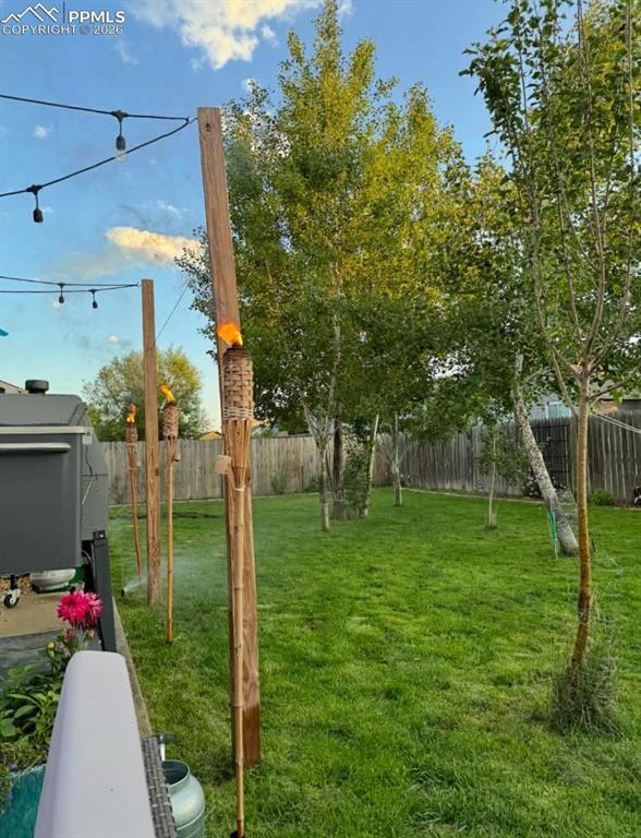 Image 38 of 39: Yard