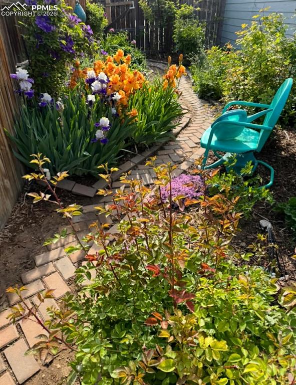 Image 39 of 39: Yard