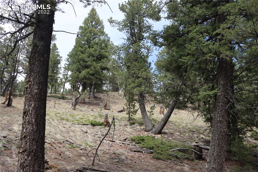 Listing 9758060, Image 13 of 23