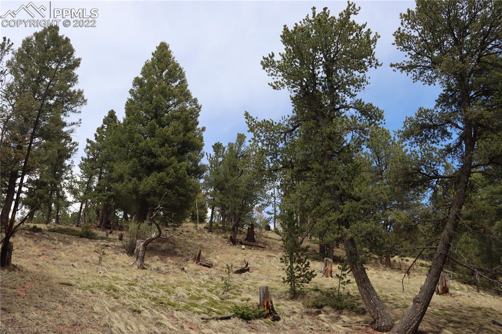 Listing 9758060, Image 15 of 23