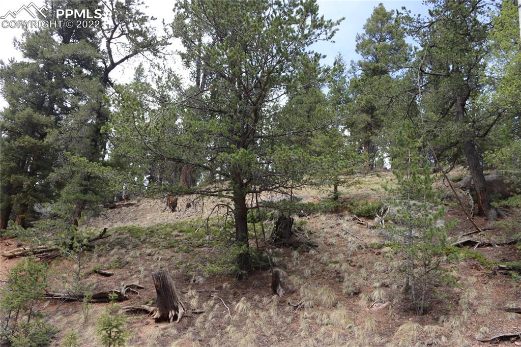 Listing 9758060, Image 2 of 23