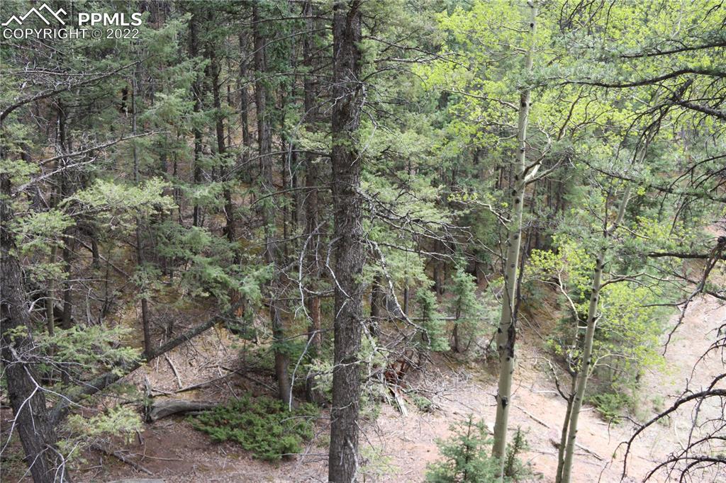 Listing 9758060, Image 20 of 23