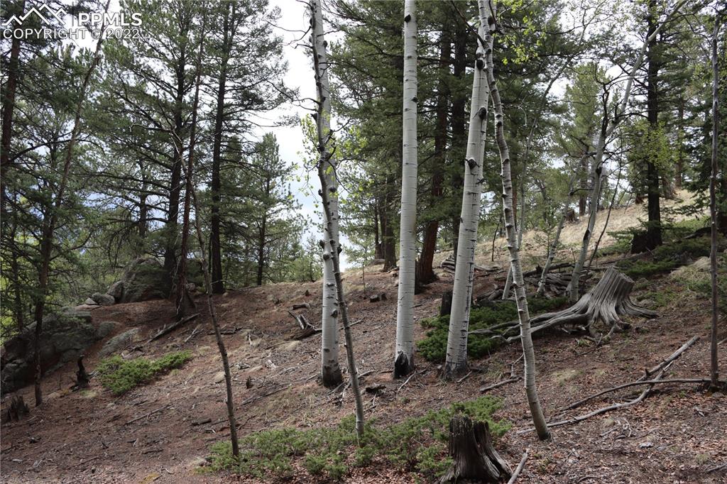 Listing 9758060, Image 21 of 23