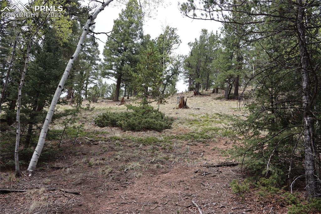 Listing 9758060, Image 22 of 23