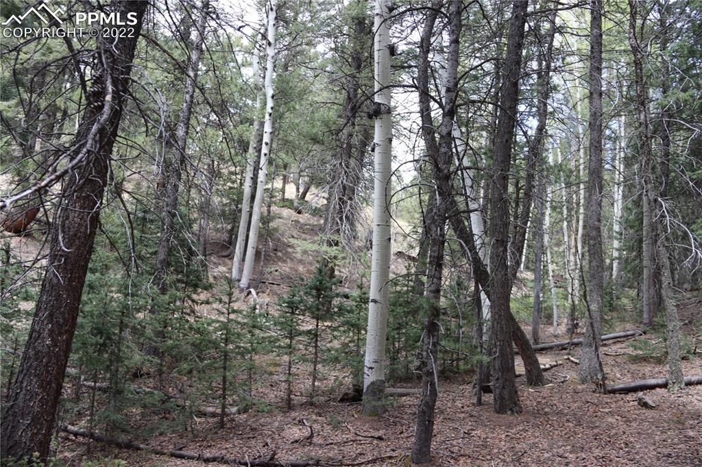 Listing 9758060, Image 23 of 23