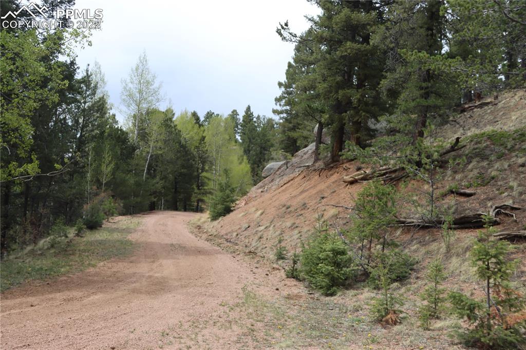 Listing 9758060, Image 3 of 23