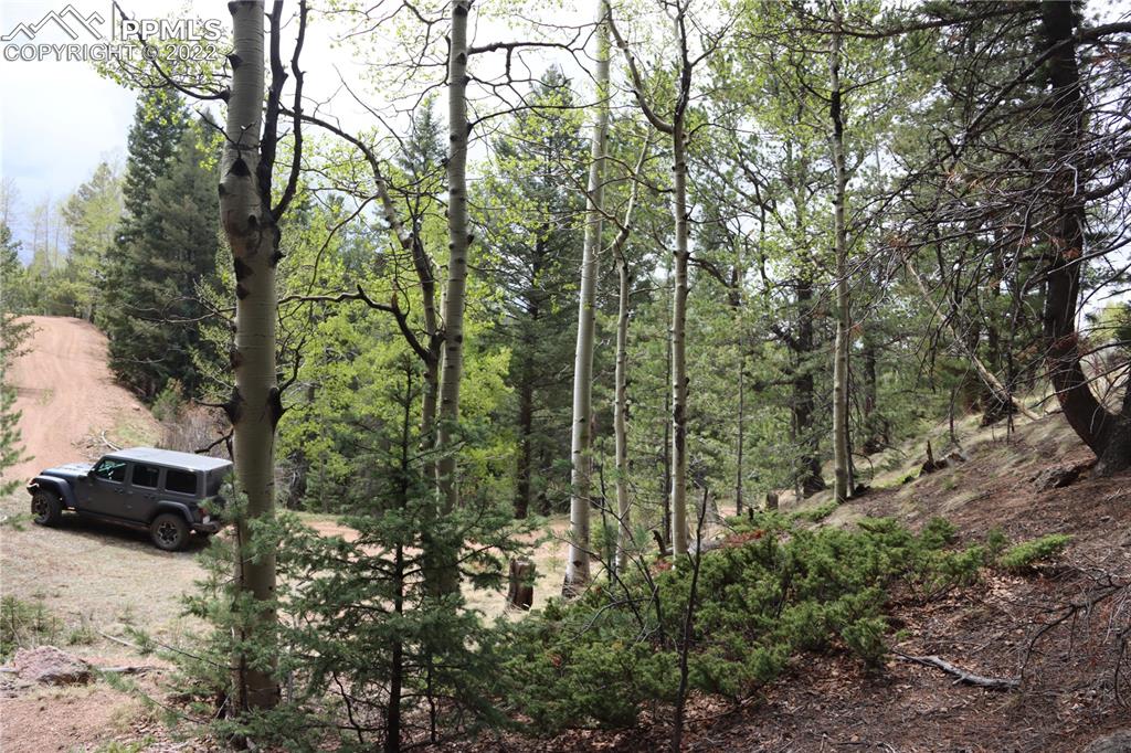 Listing 9758060, Image 8 of 23