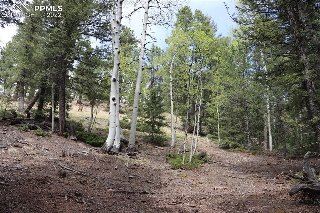 Listing 9758060, Image 9 of 23