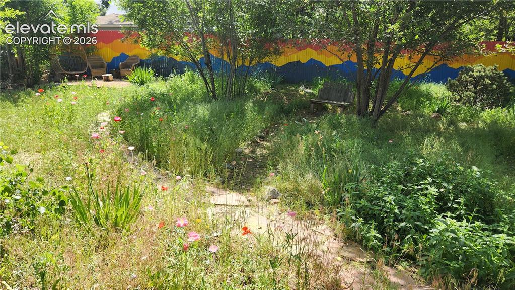 Image 44 of 47: Yard