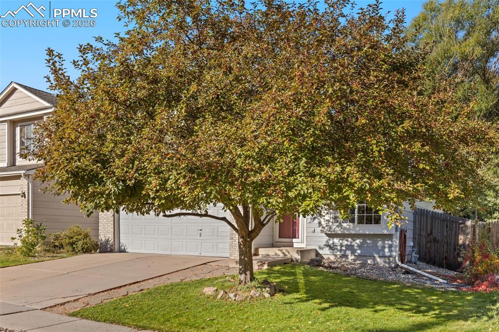 Image 4 of 37: Front of Structure