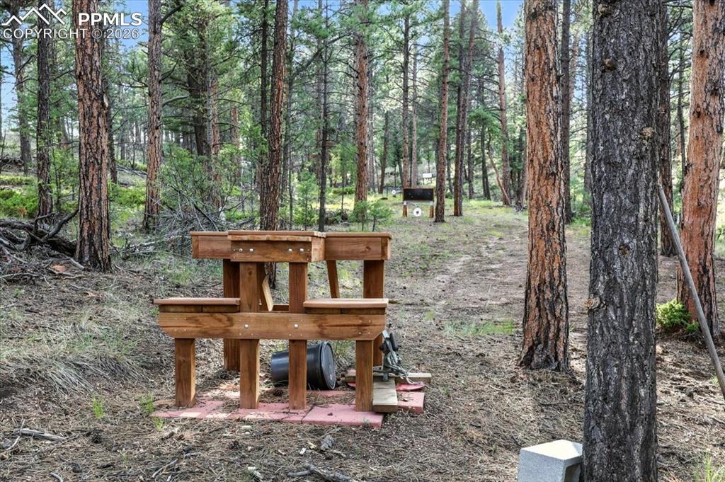 Image 43 of 49: Community