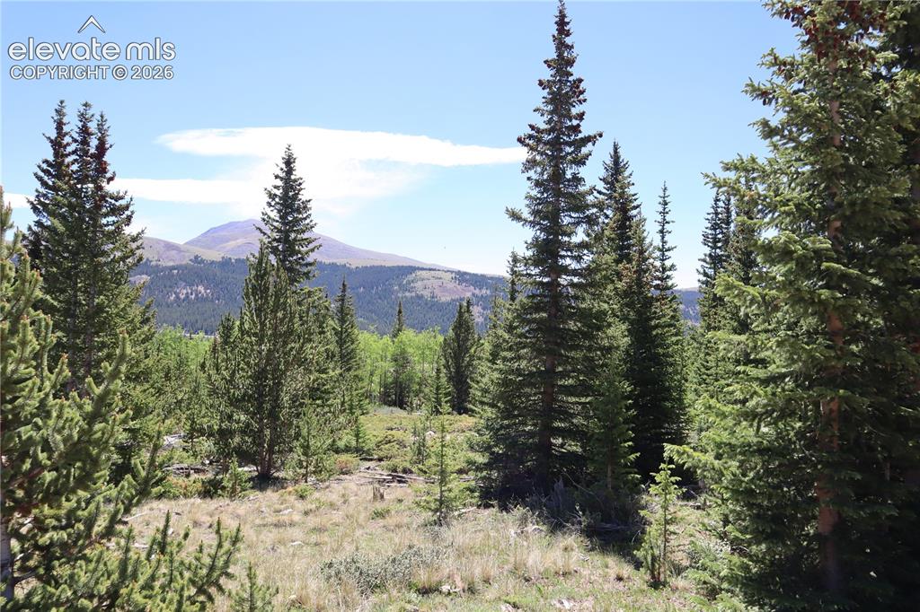 Image 11 of 26: View